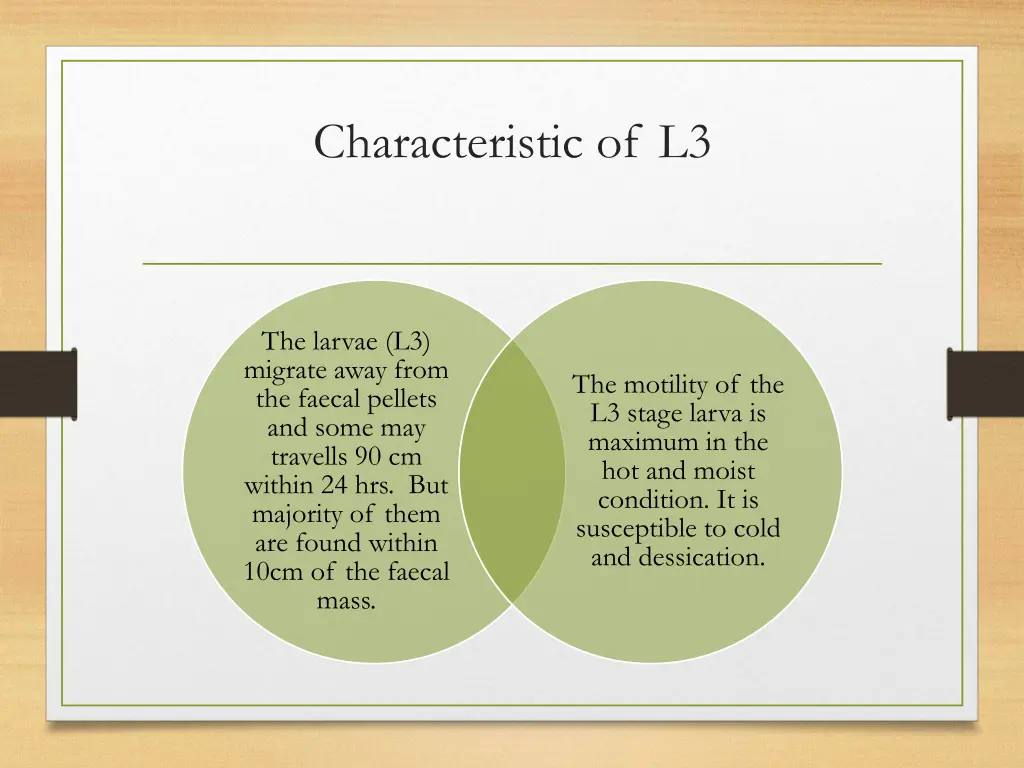 characteristic of l3