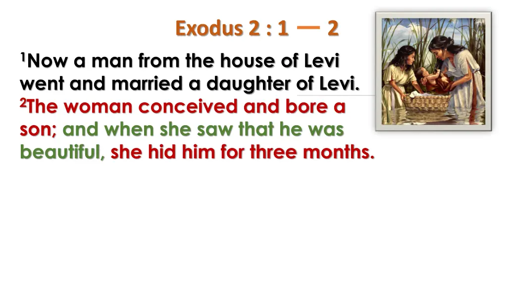 exodus 2 1 1