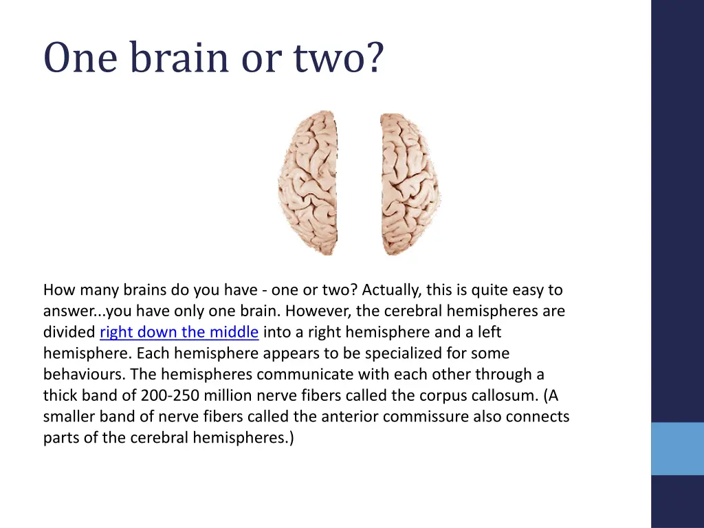 one brain or two