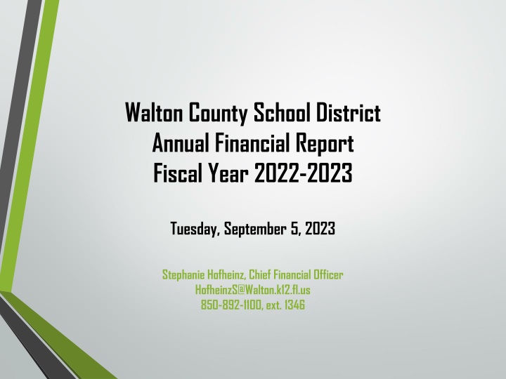 walton county school district annual financial