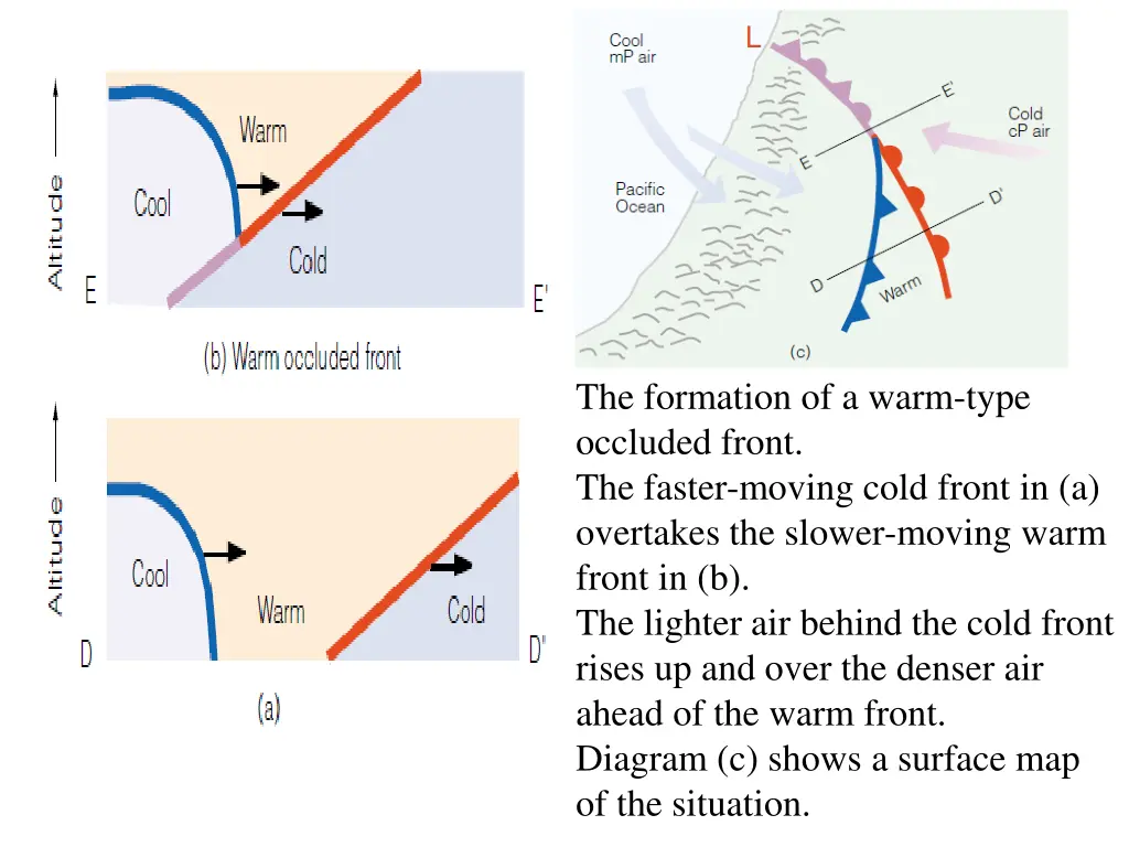 the formation of a warm type occluded front