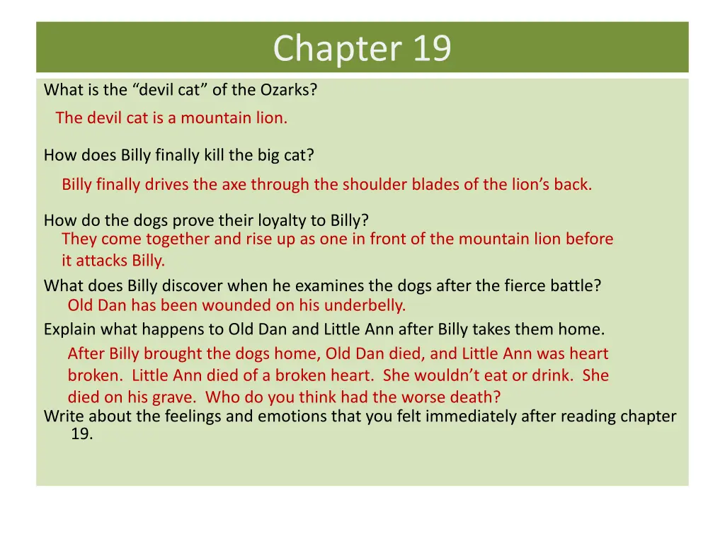 chapter 19