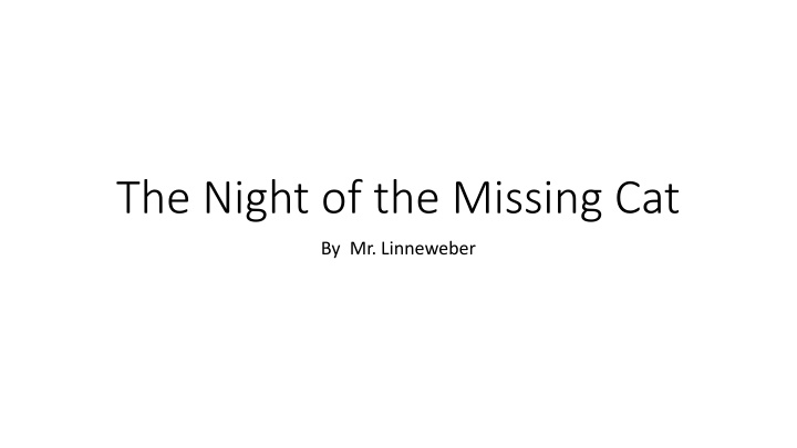 the night of the missing cat