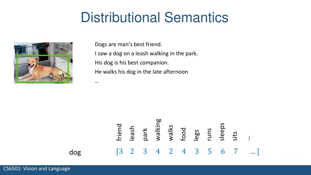 distributional semantics