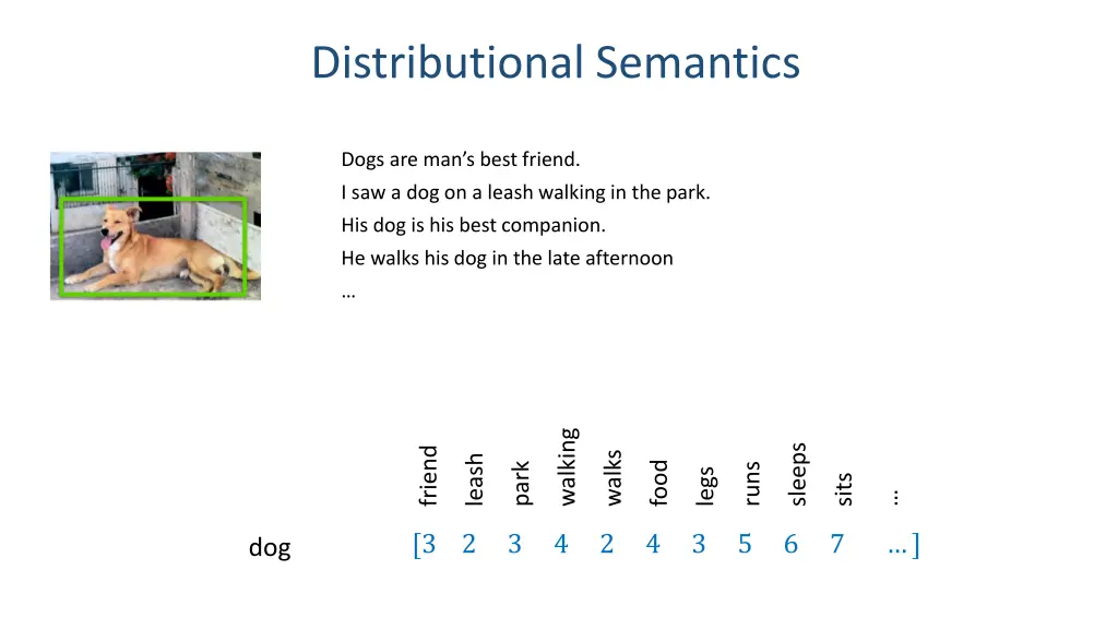 distributional semantics