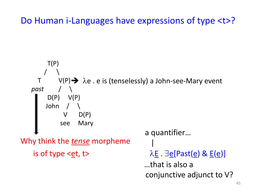 do human i languages have expressions of type t 1