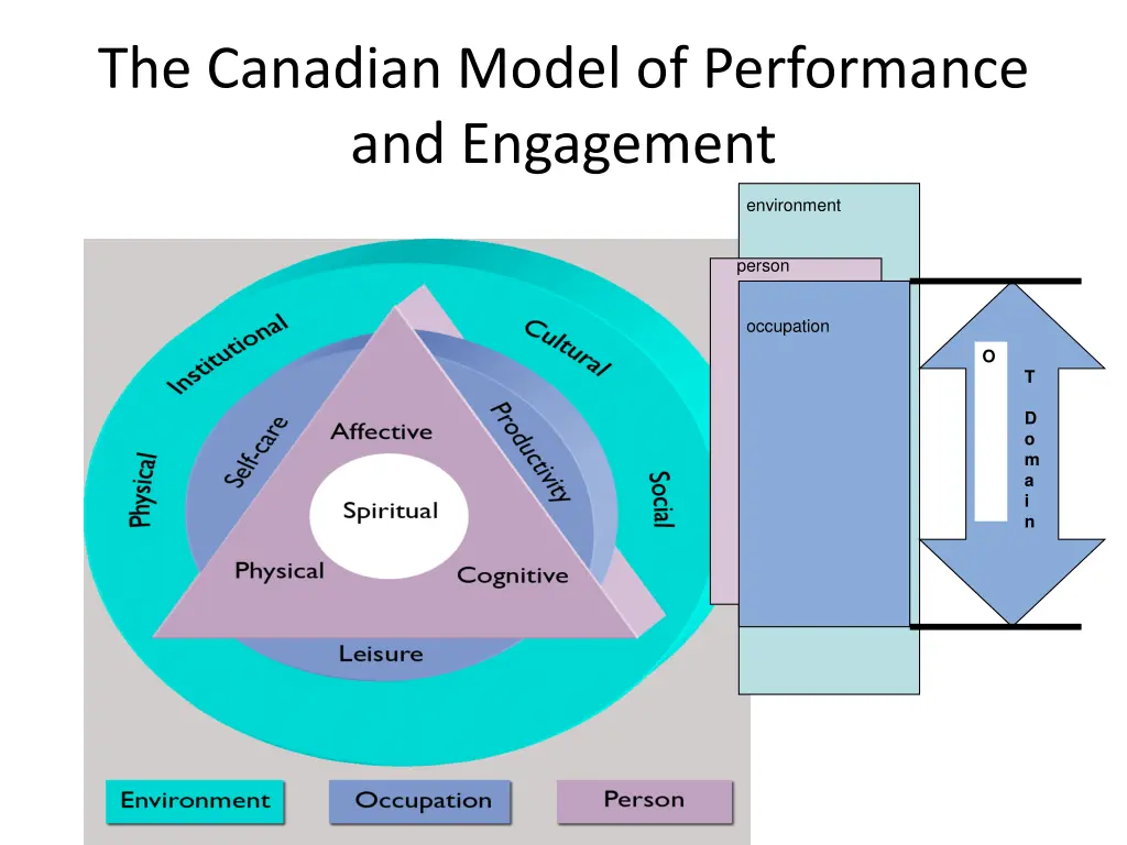 the canadian model of performance and engagement