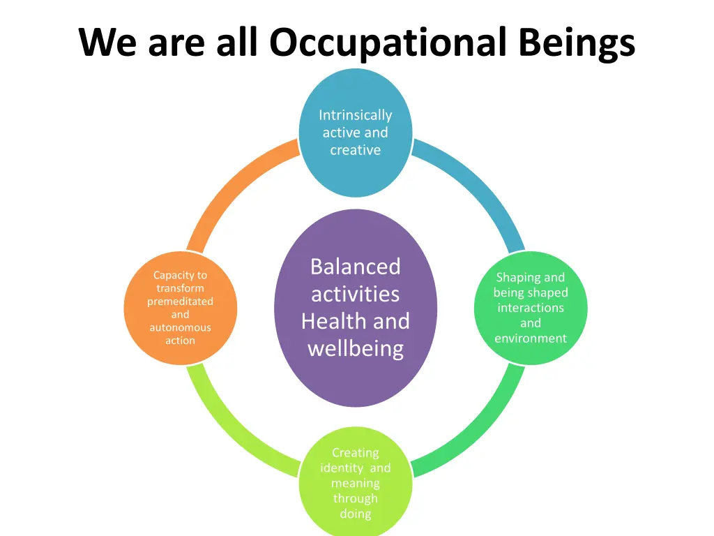 we are all occupational beings