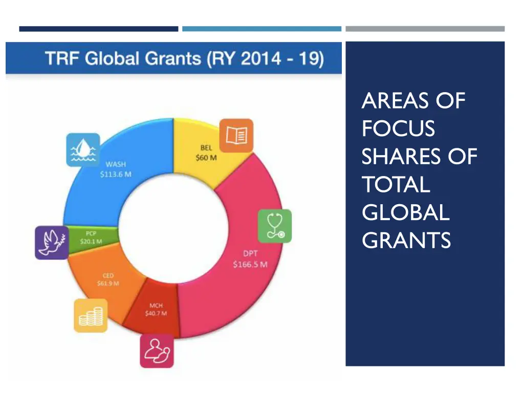 areas of focus shares of total global grants