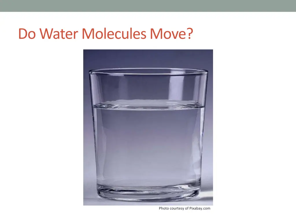 do water molecules move