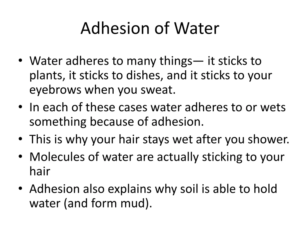 adhesion of water