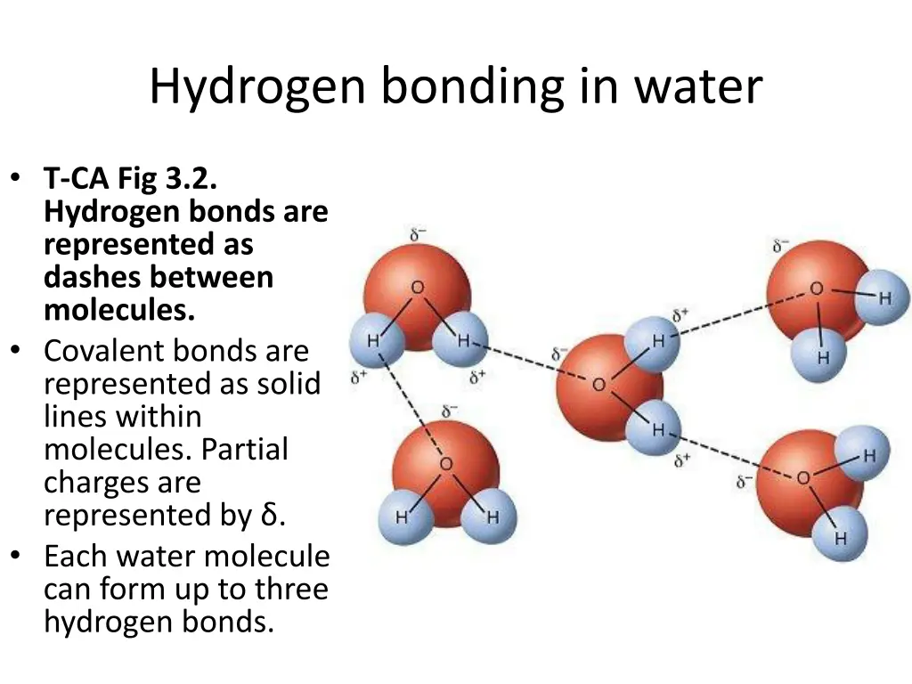 hydrogen bonding in water