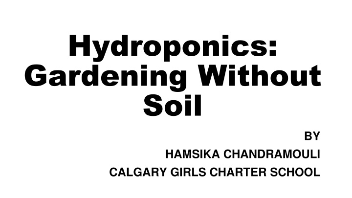 hydroponics gardening without soil