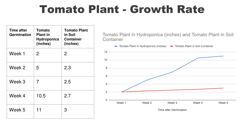 tomato plant growth rate