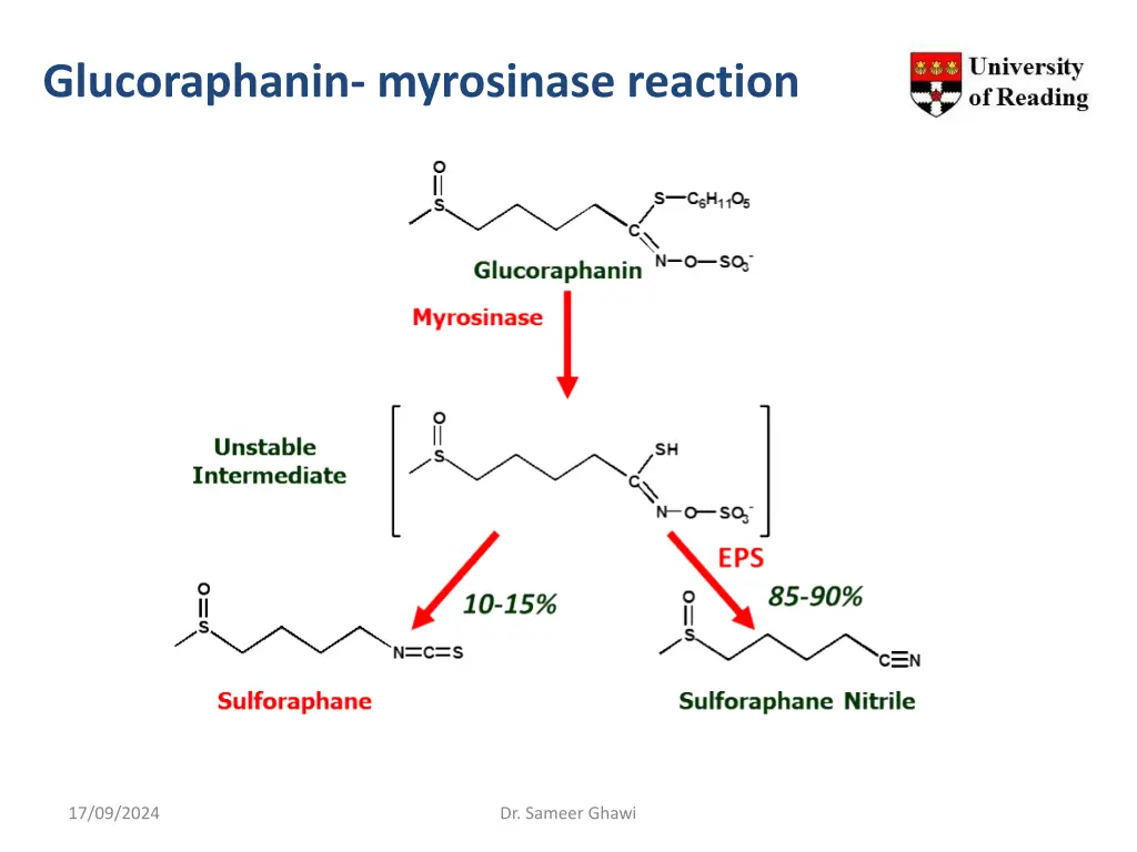 glucoraphanin myrosinase reaction