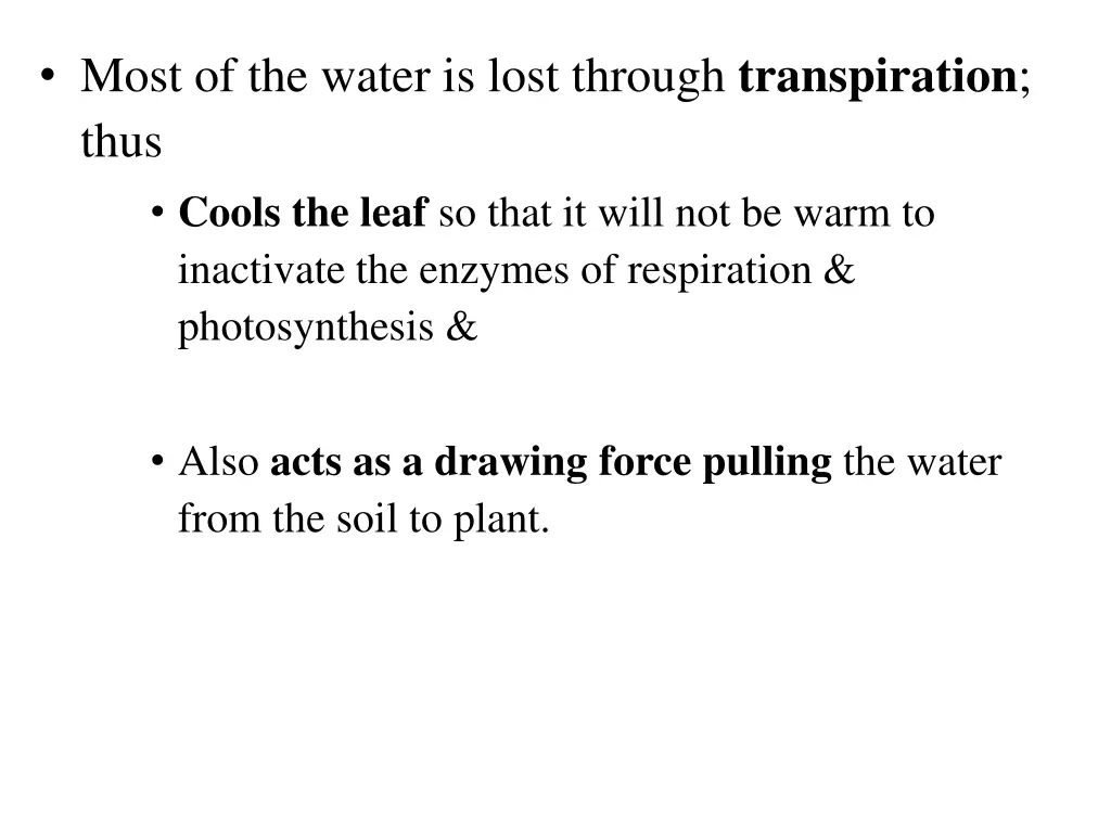 most of the water is lost through transpiration