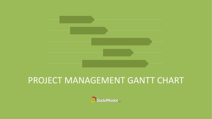 project management gantt chart