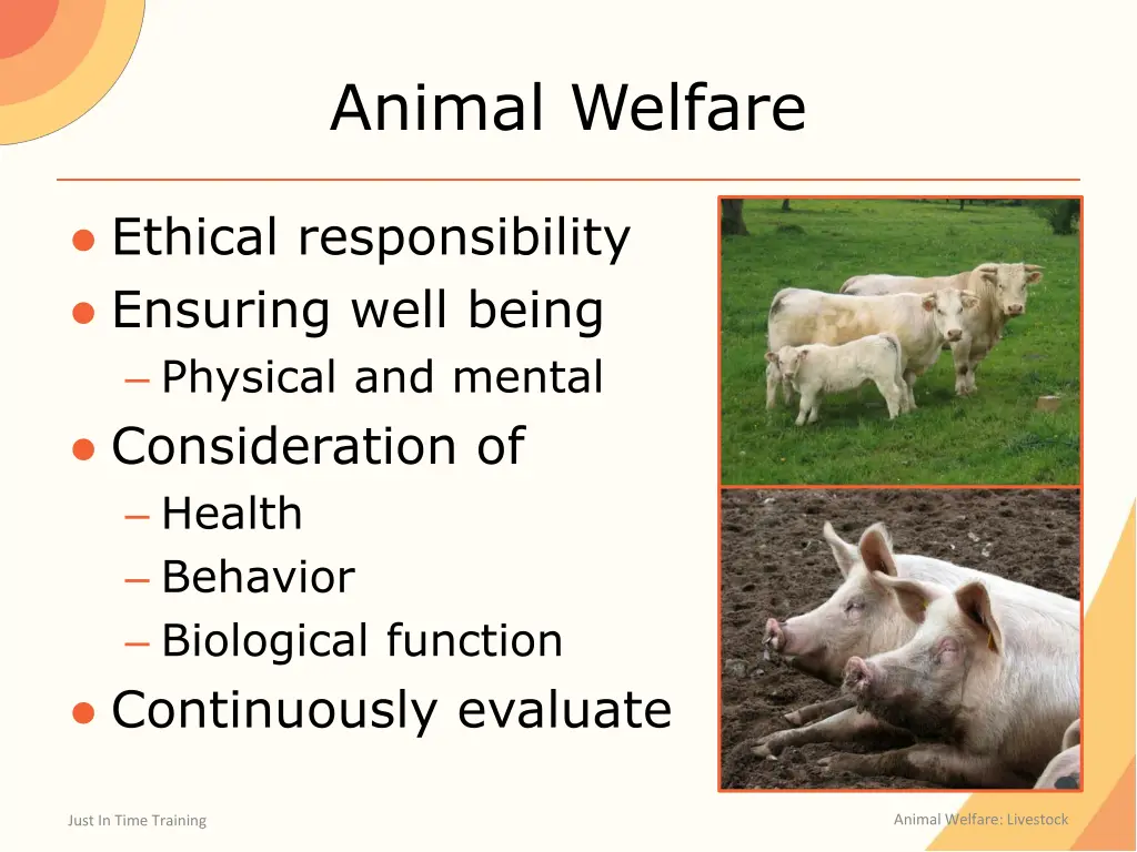 animal welfare