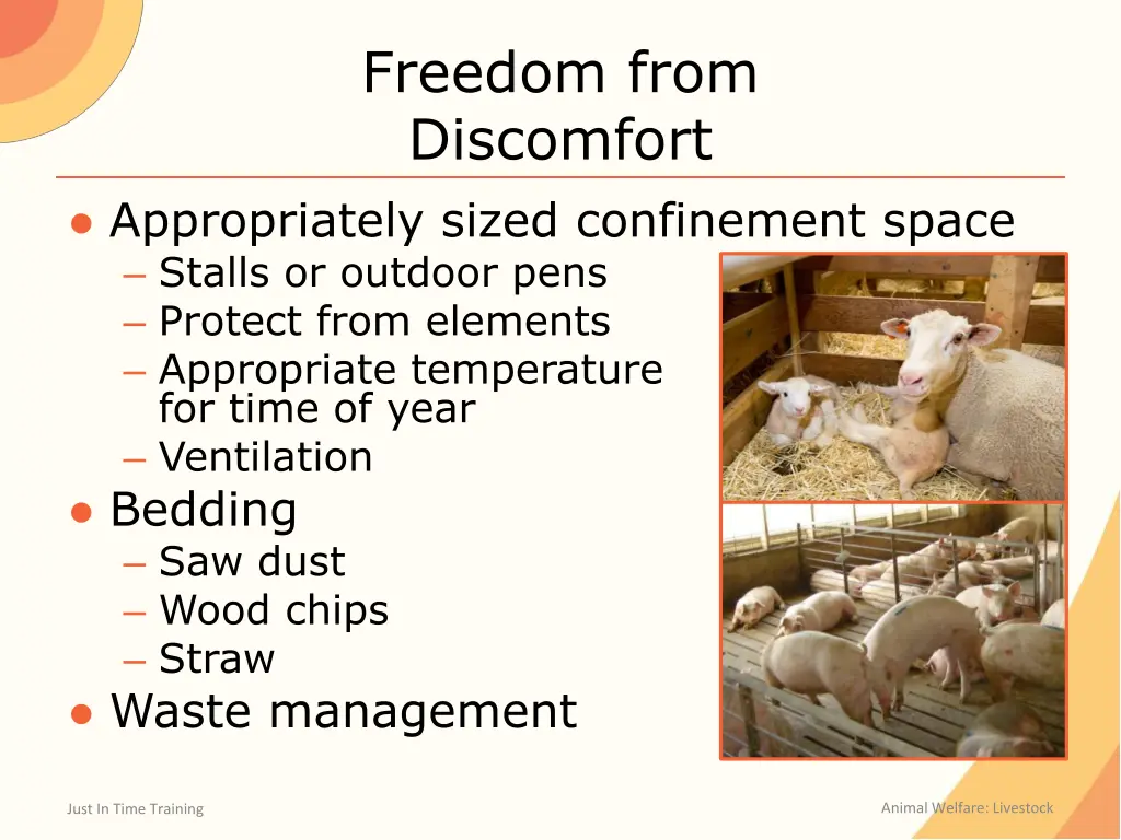 freedom from discomfort