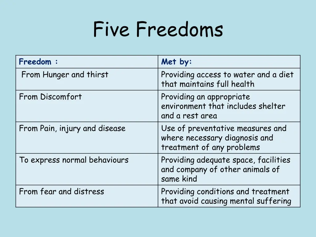 five freedoms