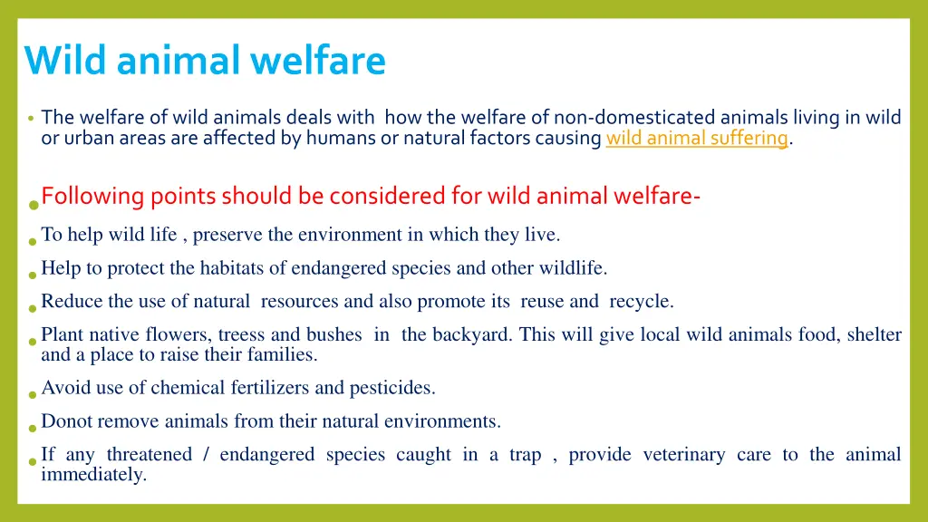 wild animal welfare