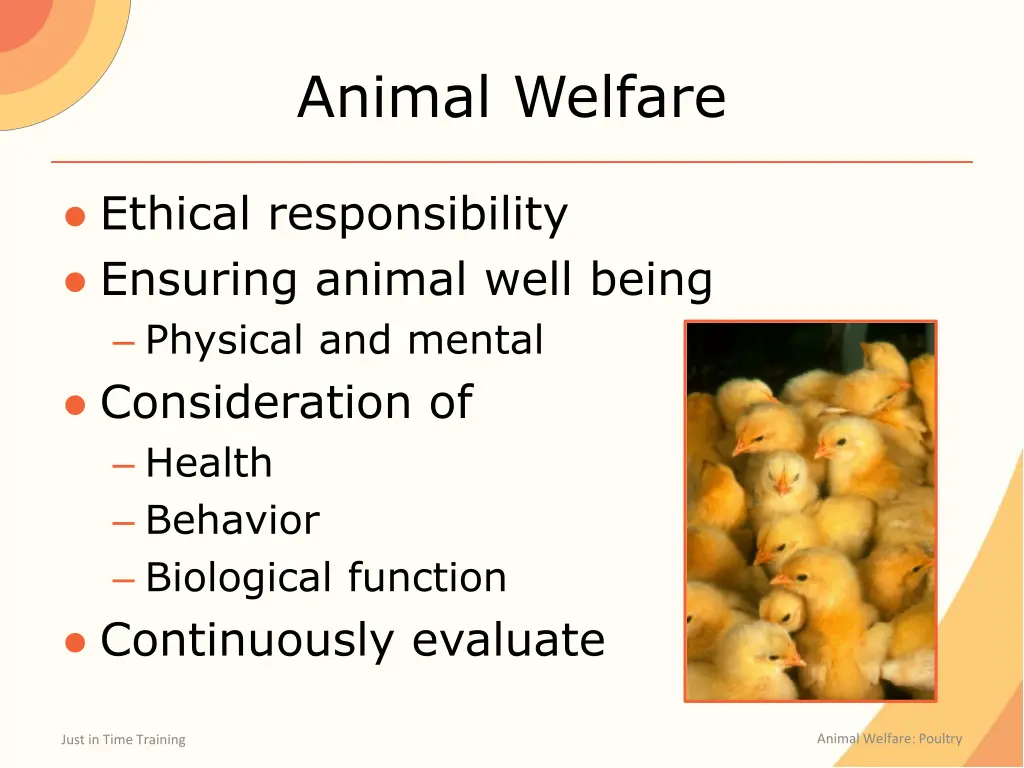 animal welfare