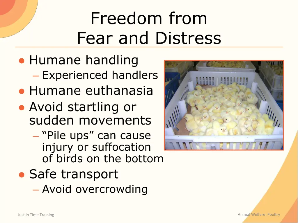 freedom from fear and distress humane handling