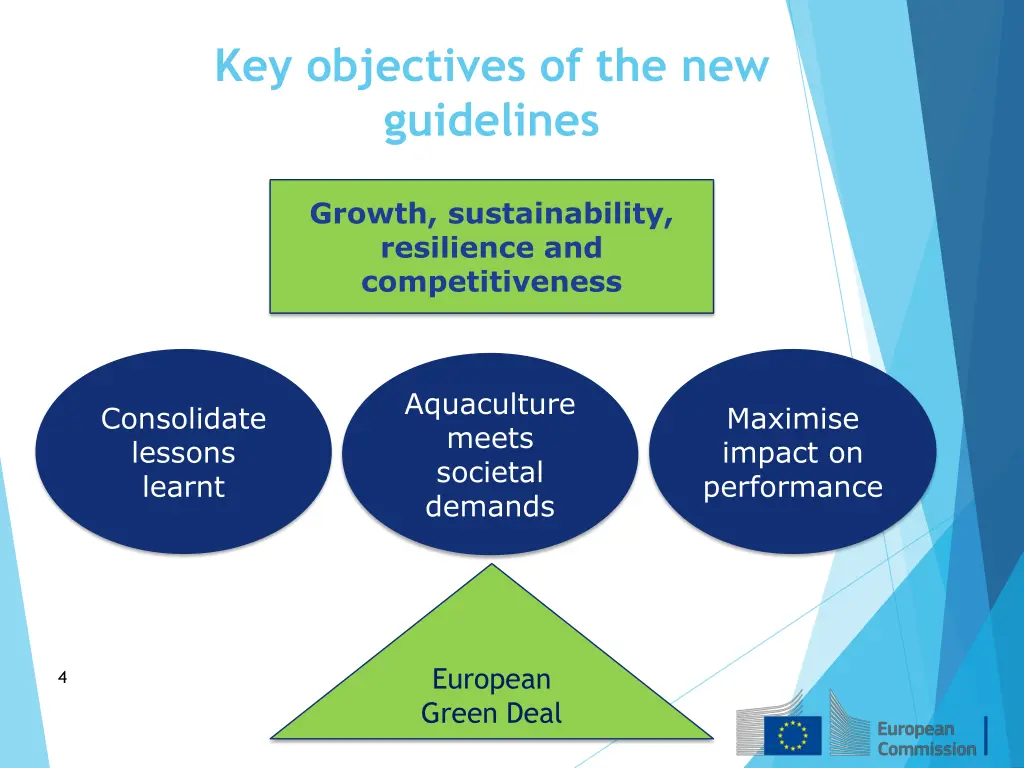 key objectives of the new guidelines