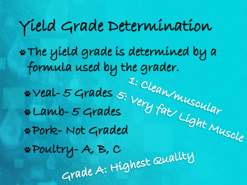 yield grade determination yield grade