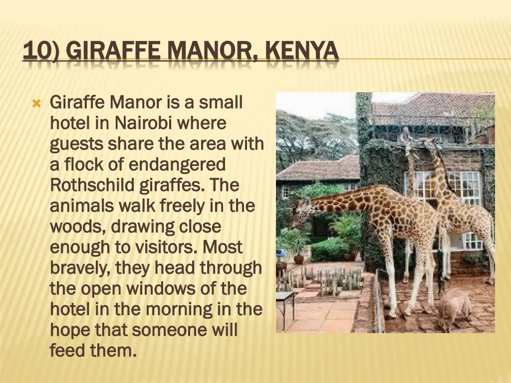 10 giraffe manor kenya 10 giraffe manor kenya