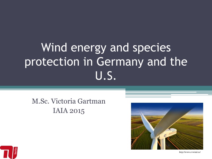 wind energy and species protection in germany