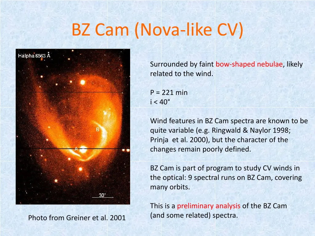 bz cam nova like cv