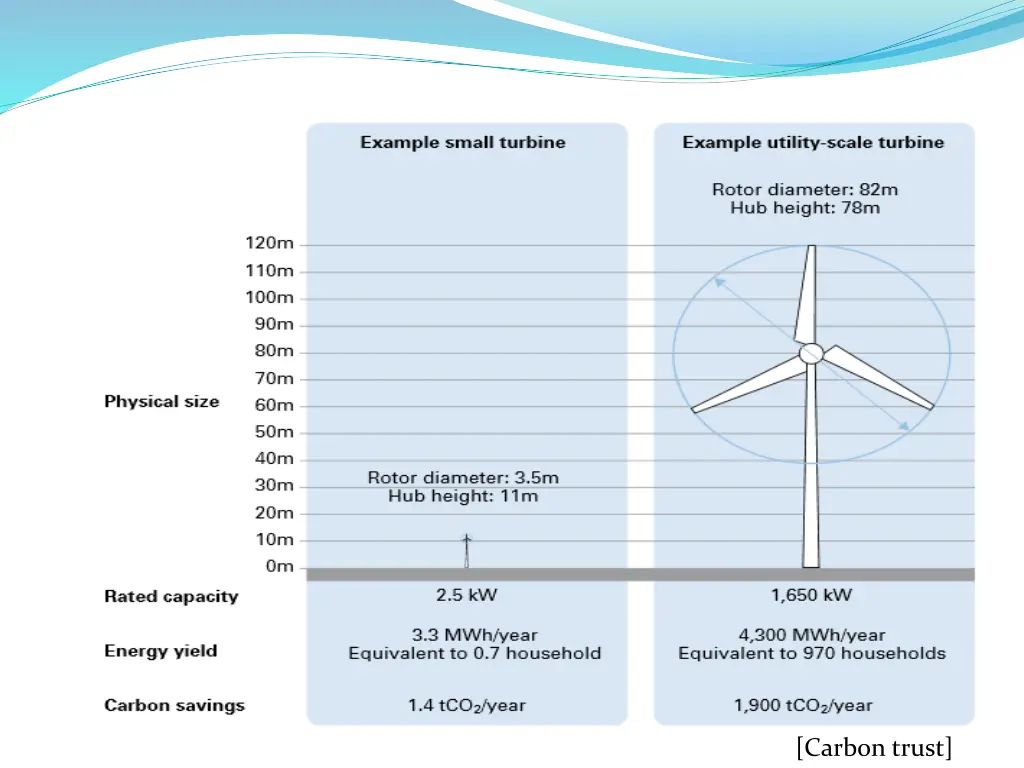 carbon trust