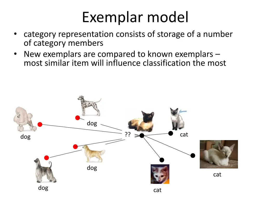 exemplar model