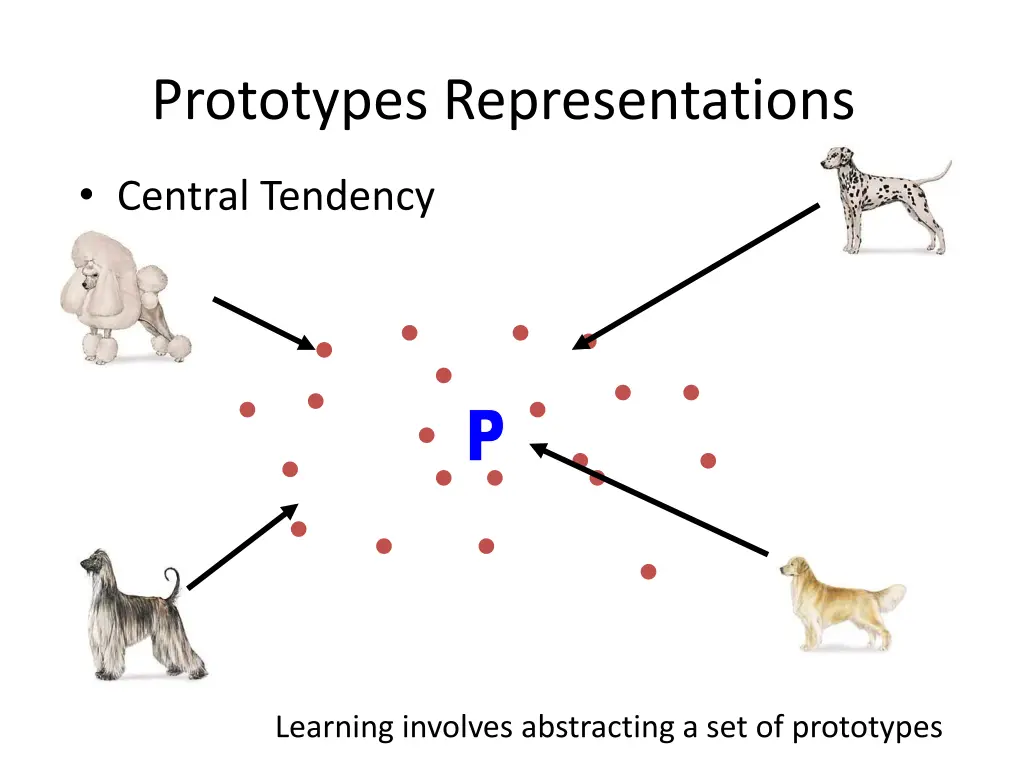 prototypes representations