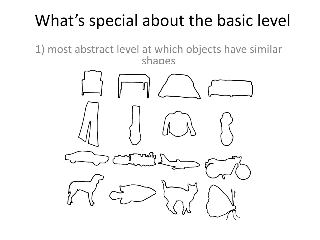 what s special about the basic level