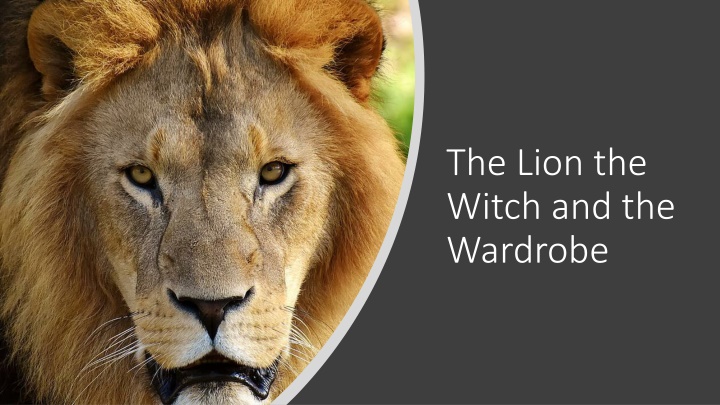 the lion the witch and the wardrobe