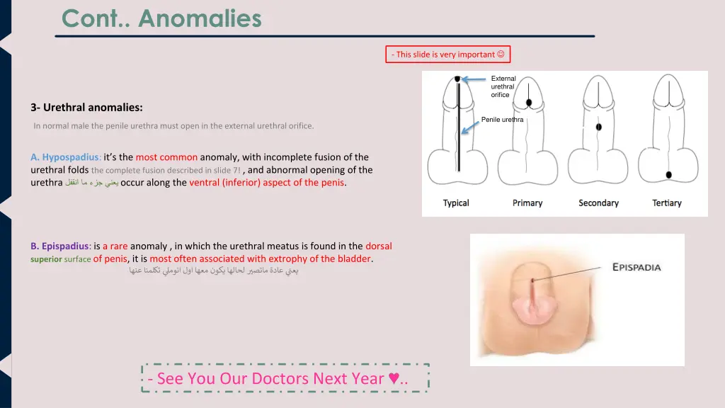 cont anomalies