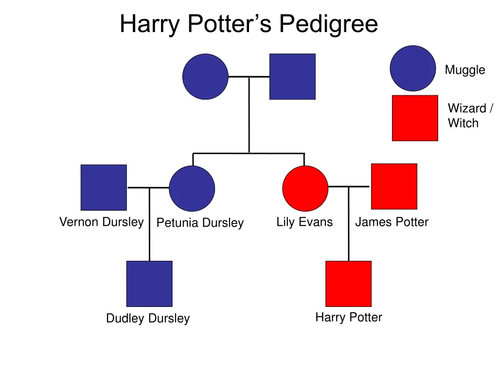 harry potter s pedigree