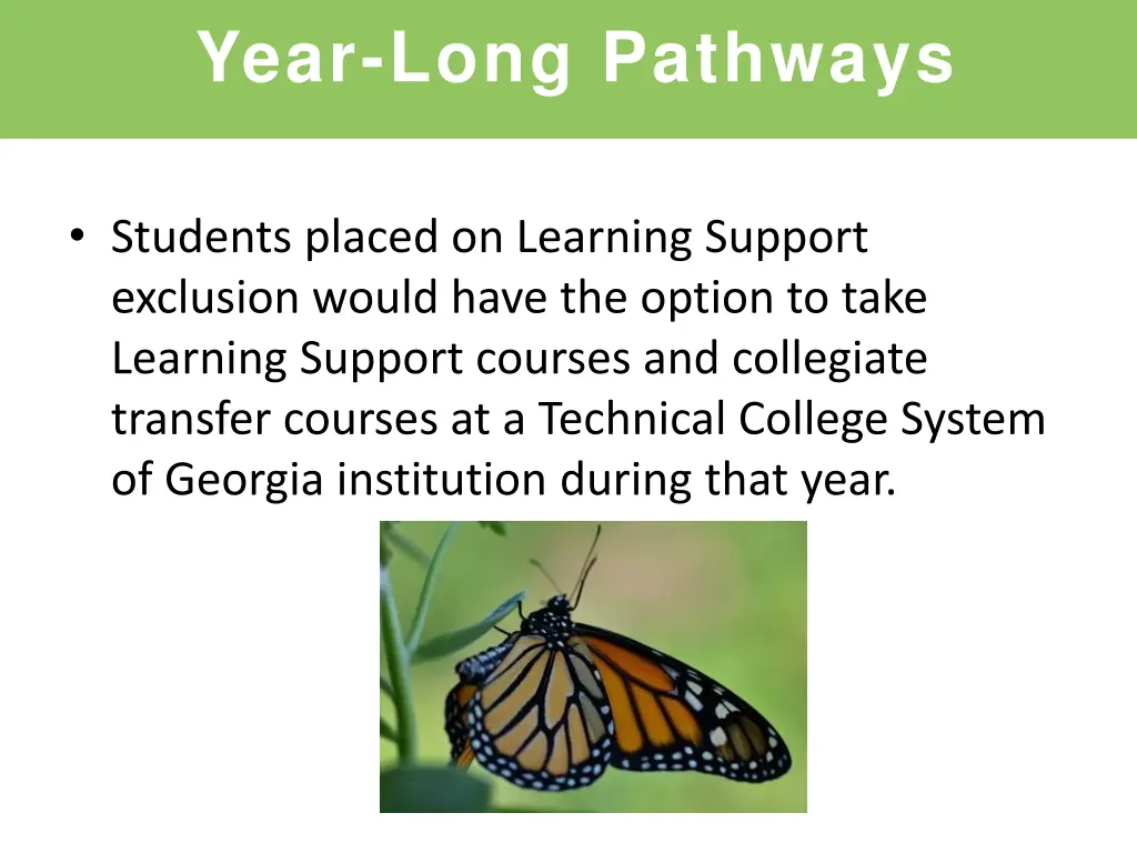 year long pathways 4