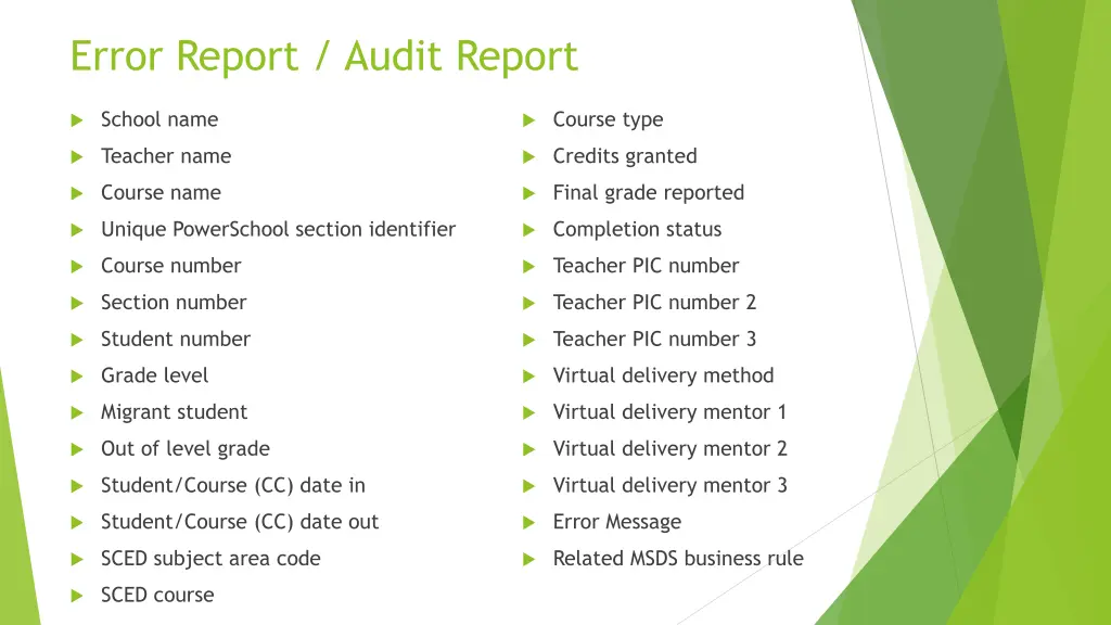 error report audit report