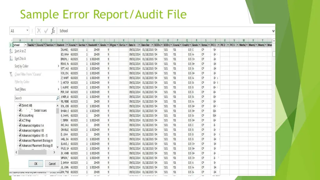 sample error report audit file