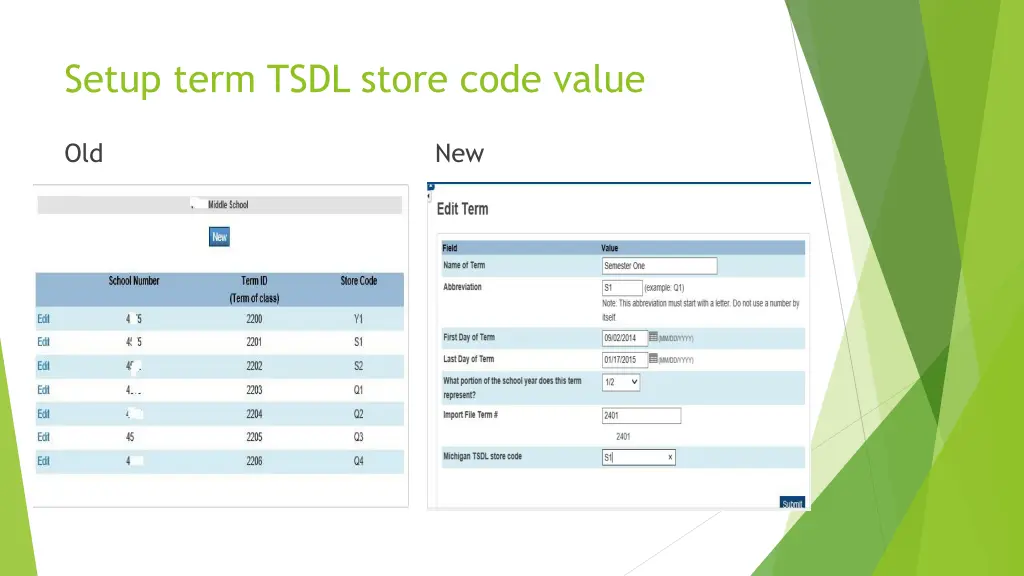 setup term tsdl store code value