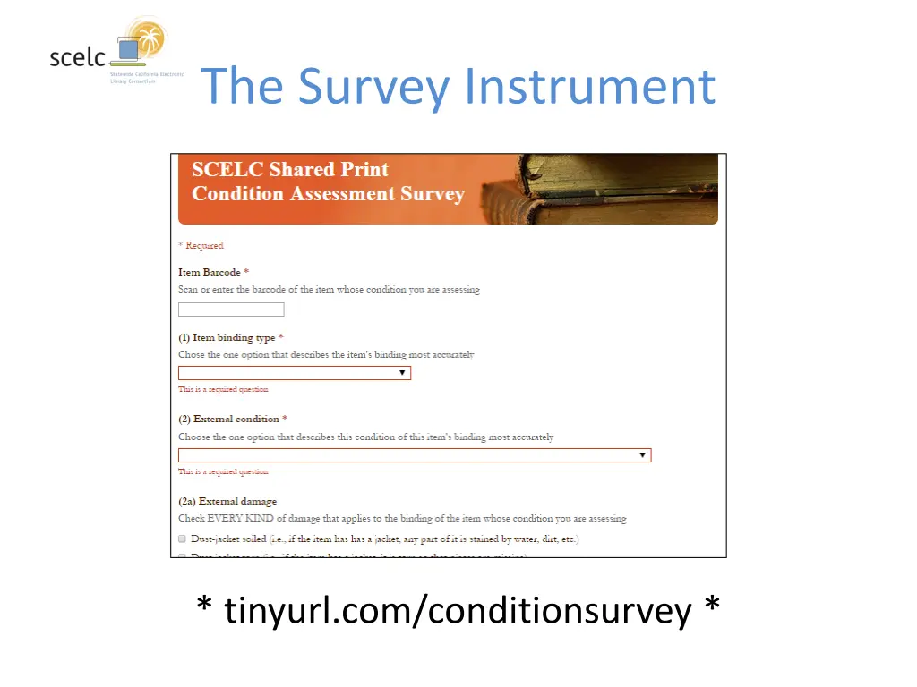 the survey instrument 1