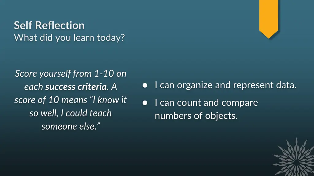 self reflection what did you learn today