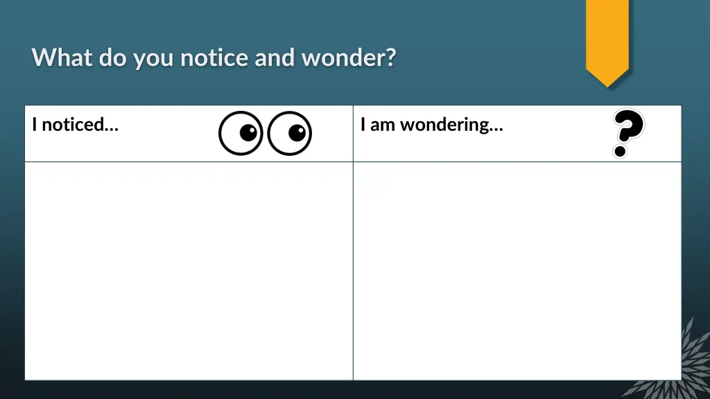 what do you notice and wonder 2