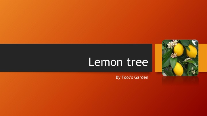 lemon tree