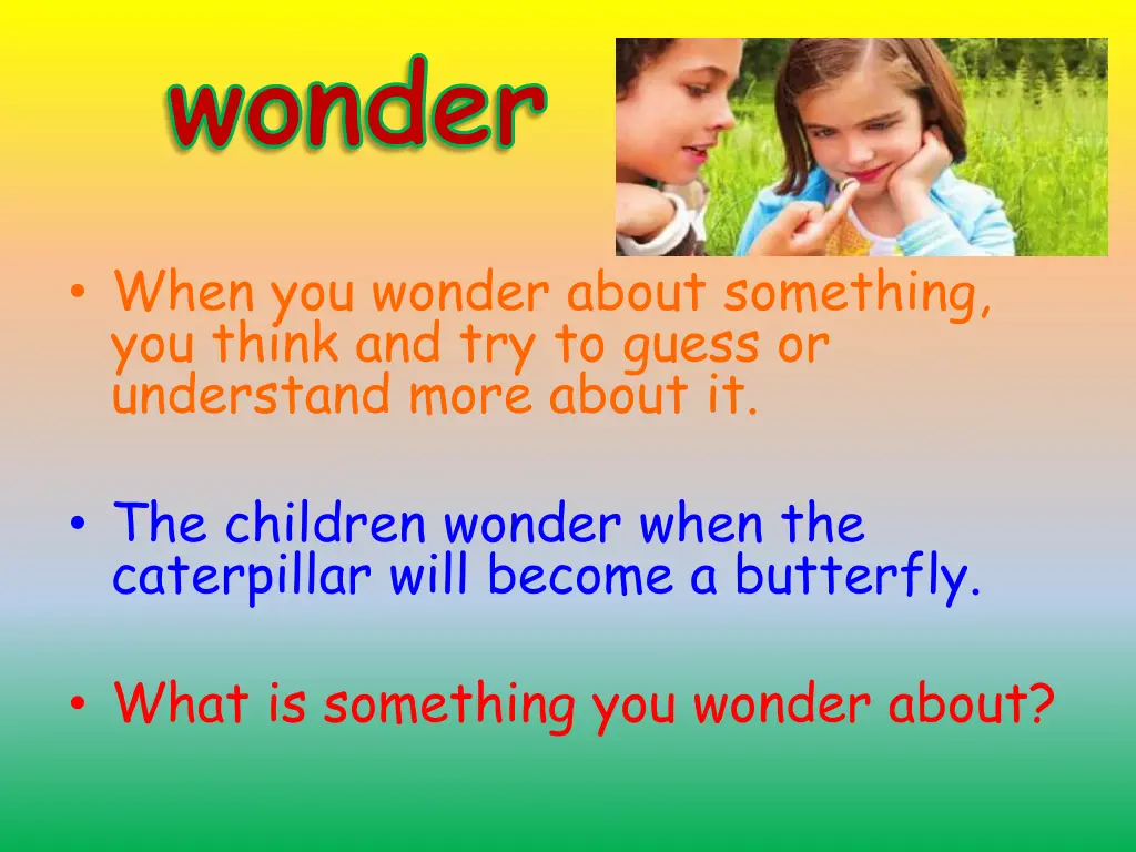 wonder