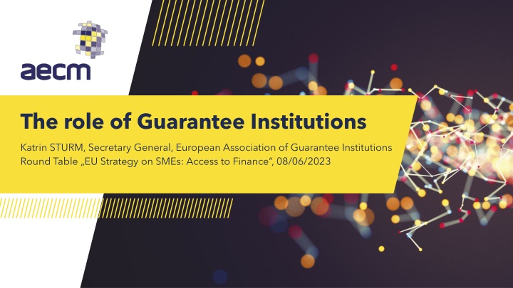 the role of guarantee institutions