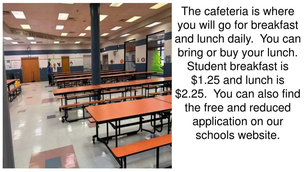 the cafeteria is where you will go for breakfast